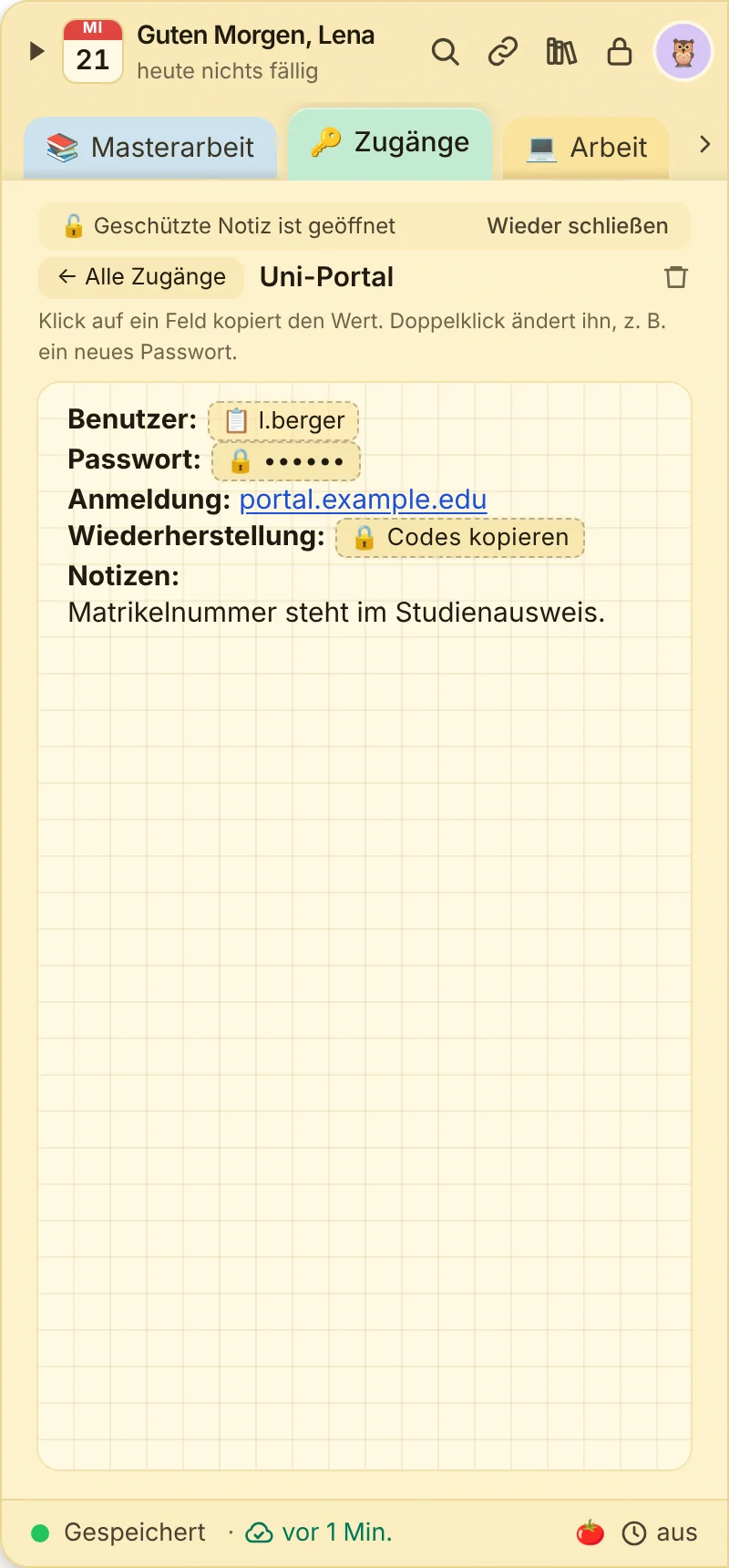 Zugang mit Kopierfeldern, Passwort verdeckt